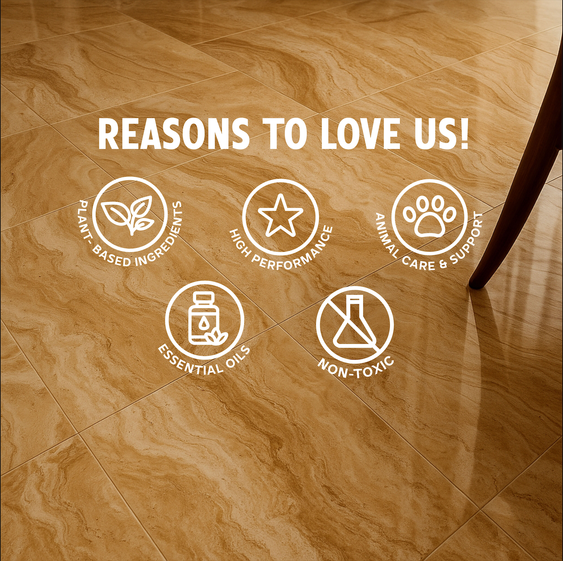 5 Reasons to Love Us