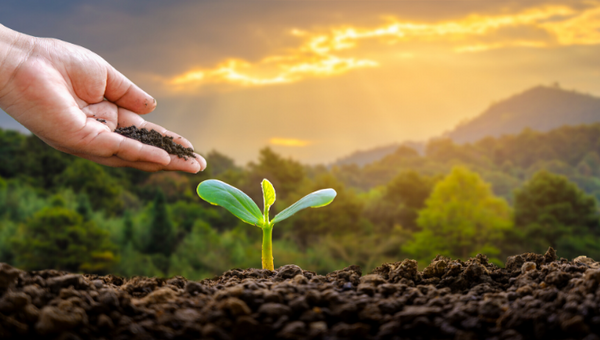Spreading the Word for Environmental Conservation