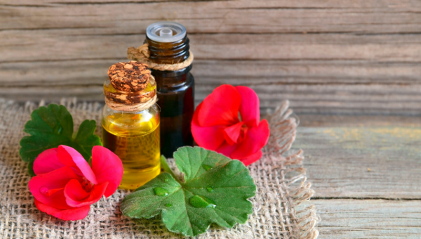 Geranium oil
