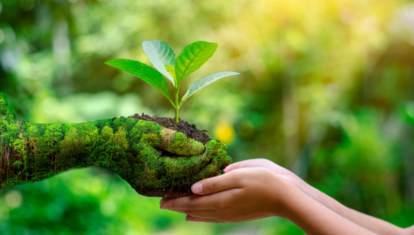 Is "eco-friendly" actually eco-friendly?