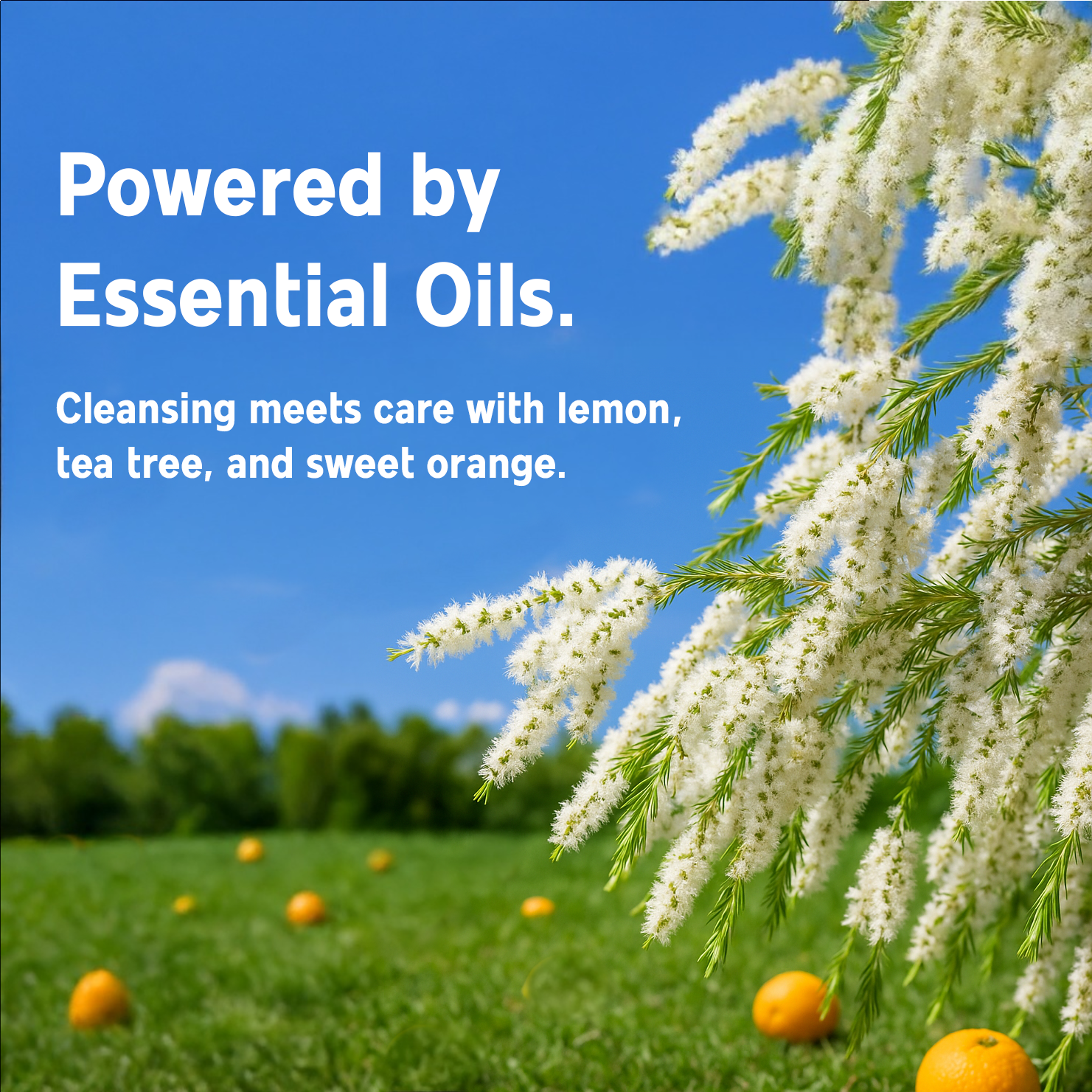 Hand Wash Golden Tea | 1.8L Refill Pouch